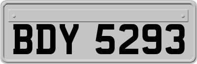 BDY5293