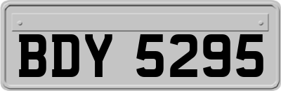BDY5295