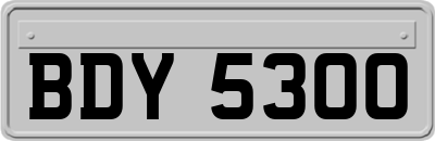 BDY5300