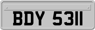 BDY5311