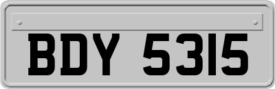 BDY5315