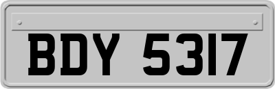BDY5317