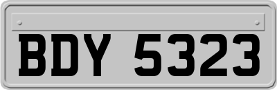 BDY5323