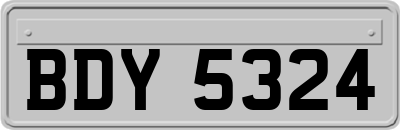 BDY5324