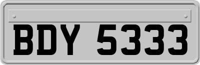 BDY5333