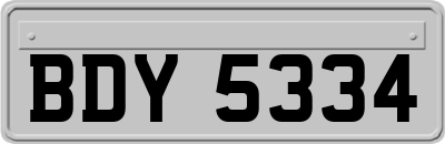 BDY5334