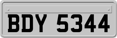 BDY5344