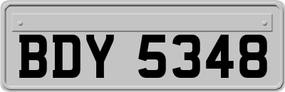 BDY5348