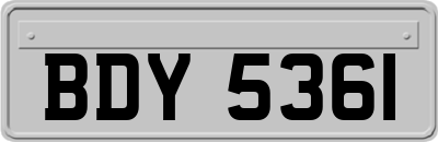 BDY5361