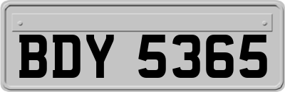 BDY5365