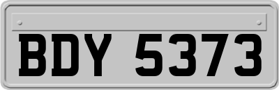 BDY5373