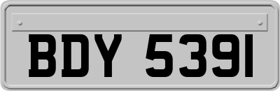 BDY5391