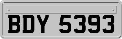 BDY5393