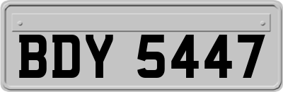 BDY5447