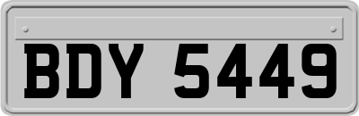 BDY5449