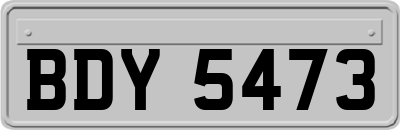 BDY5473