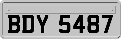 BDY5487
