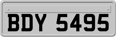 BDY5495
