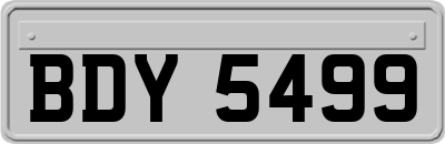 BDY5499