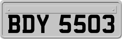 BDY5503