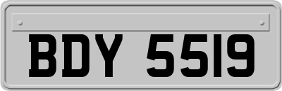 BDY5519