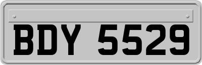 BDY5529