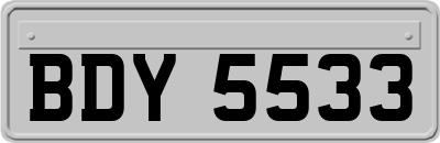 BDY5533