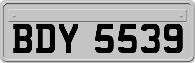 BDY5539