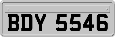 BDY5546