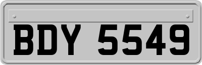 BDY5549