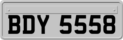 BDY5558