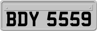 BDY5559