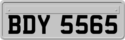 BDY5565
