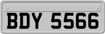 BDY5566