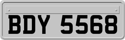 BDY5568