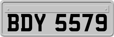 BDY5579