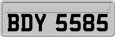BDY5585