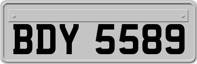 BDY5589