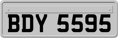 BDY5595
