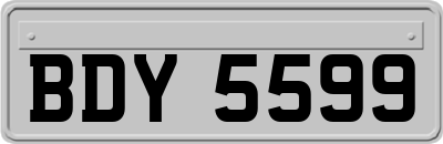 BDY5599