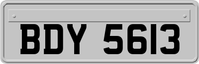 BDY5613