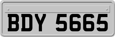 BDY5665