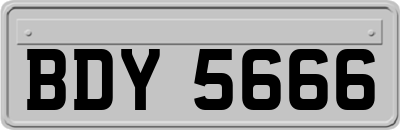 BDY5666