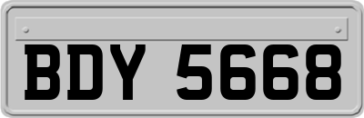 BDY5668