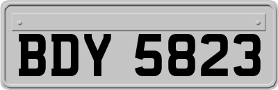 BDY5823