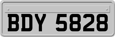 BDY5828