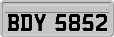 BDY5852