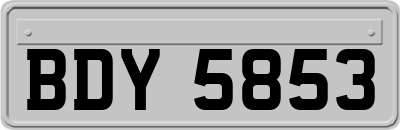 BDY5853