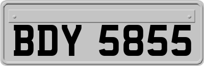 BDY5855