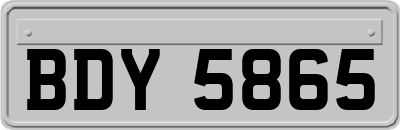 BDY5865